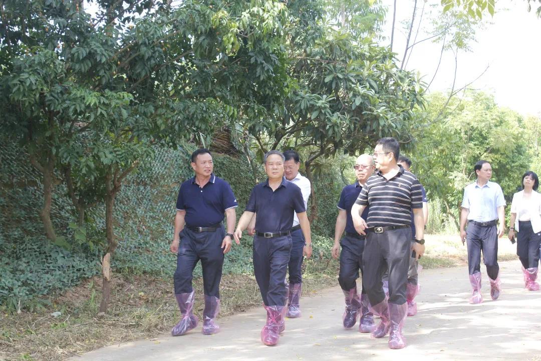 自治區(qū)政協(xié)副主席黃洲一行蒞臨皇氏集團(tuán)摩拉菲爾奶水牛觀光牧場調(diào)研